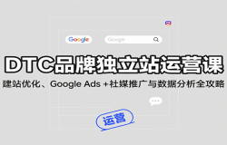 DTCƷƶվӪΣվŻGoogle Ads + ýƹݷȫ