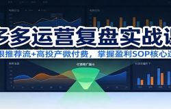 多多运营复盘实战课:无限推荐流+高投产微付费,掌握盈利SOP核心逻辑(更新