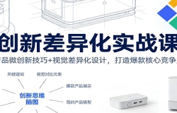 创新差异化实战课:产品微创新技巧+视觉差异化设计,打造爆款核心竞争力