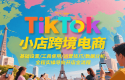 TikTokС羳̣/ʹ/Ӫ/ݷȫʵٵ