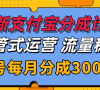 ȫֳ֧ɴӪҼȶ3000