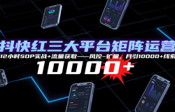 ƽ̨Ӫ12СʱSOPʵս+ȡ--10000+